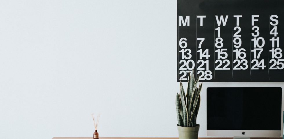 image of a white wall with a cactus plant in the middle and a black cloth calendar and a computer on the right