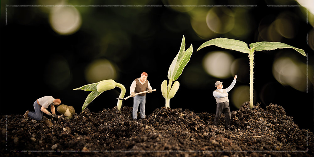 Three small plants sprouting in soil with small farmer figurines next to them